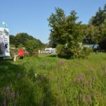 rehberge wiese04 01 150x150