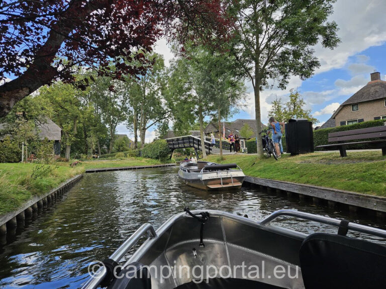 02a50d28 1c6e 4729 9dc4 47fd908bce79 1 768x576