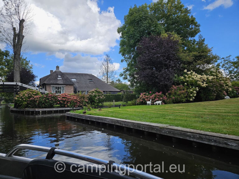 0ac399a3 02c5 4d9b 9aae 7e15c4445339 1 768x576