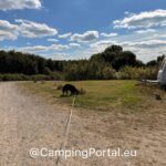 2025 08 26 14.53.59 150x150