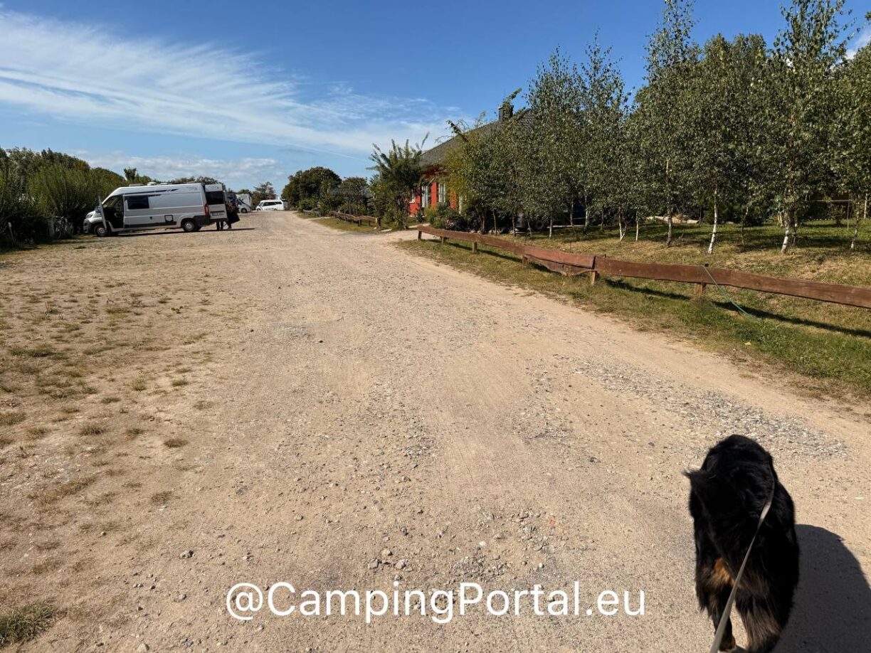 2025 08 26 14.54.05 1224x918