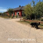 2025 08 26 14.54.07 150x150