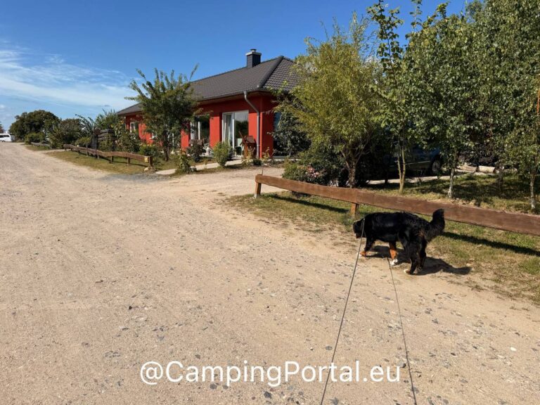 2025 08 26 14.54.07 768x576