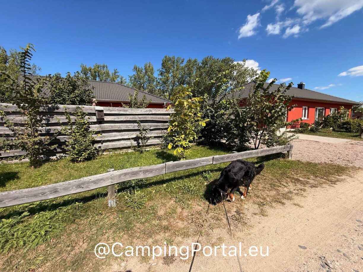 2025 08 26 14.54.17 1224x918