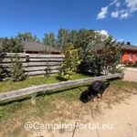 2025 08 26 14.54.17 150x150