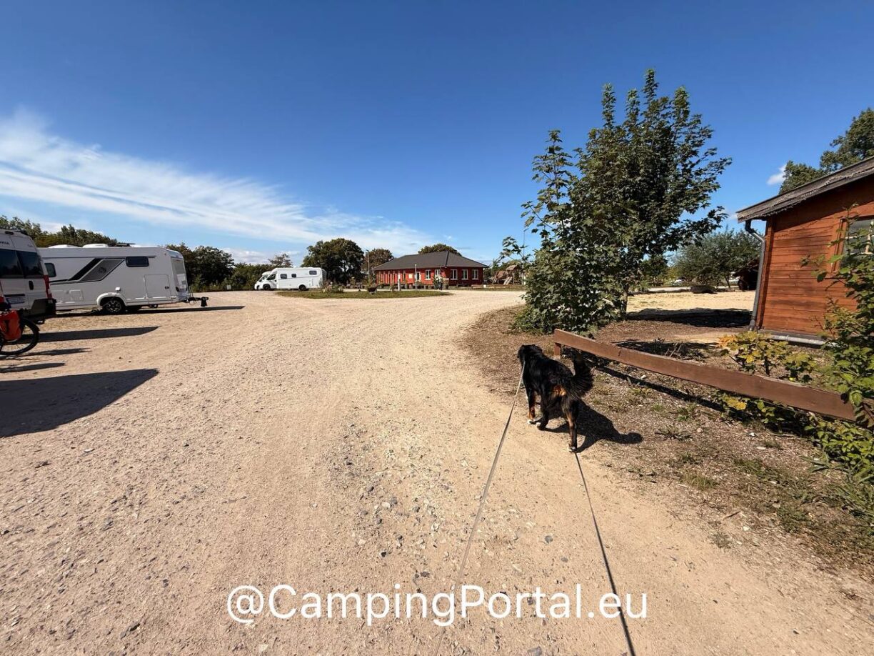 2025 08 26 14.54.23 1224x918