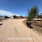 2025 08 26 14.54.23 150x150