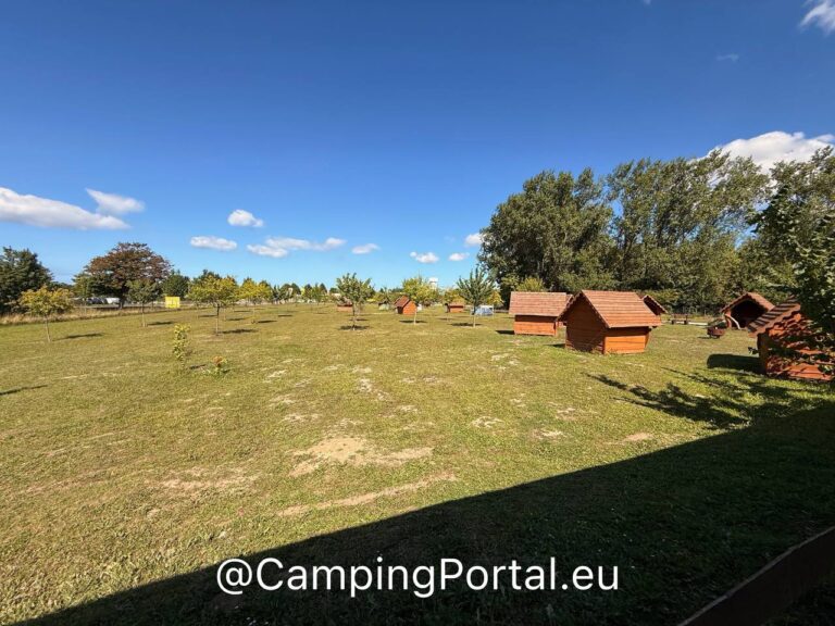 2025 08 26 14.54.39 768x576