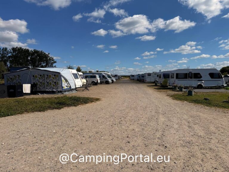 2025 08 26 14.54.51 768x576