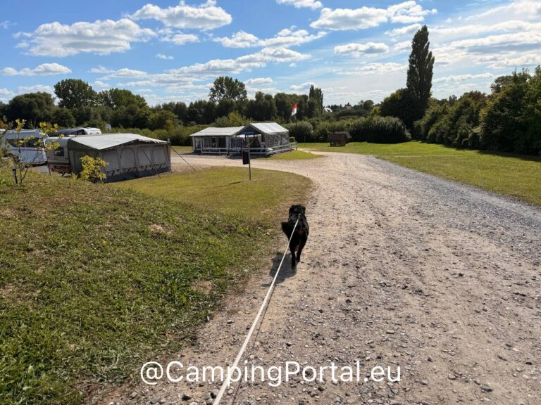 2025 08 26 14.54.54 768x576