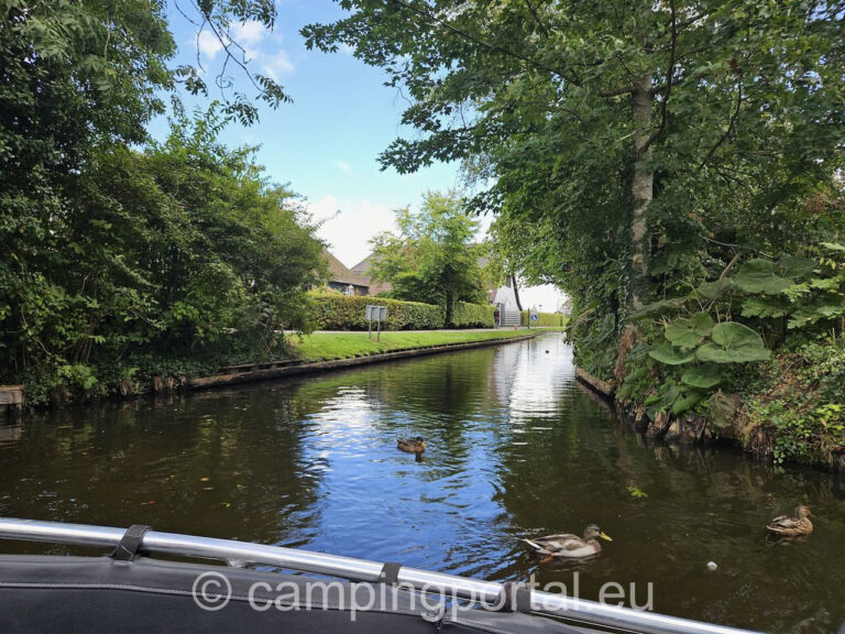 50d70a5b d2b6 4698 b649 b042f3ca042b 1 768x576