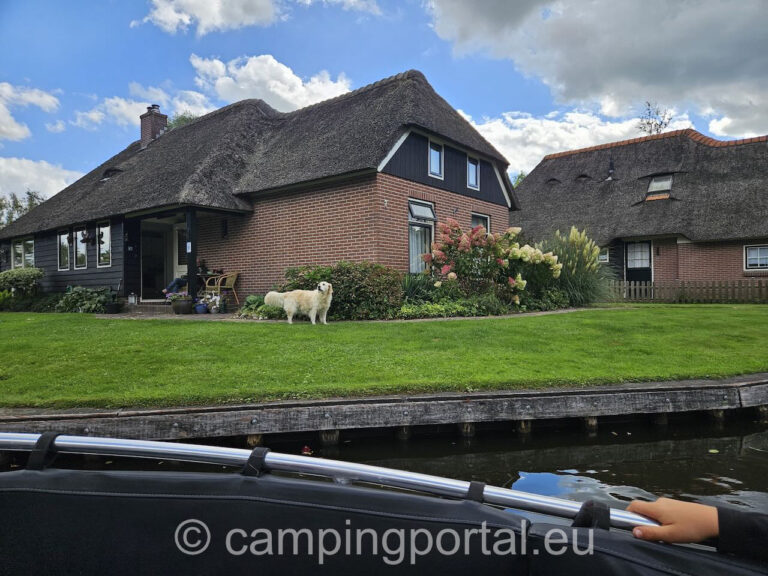 5138fd86 e253 43a7 9674 309e580feabe 1 768x576