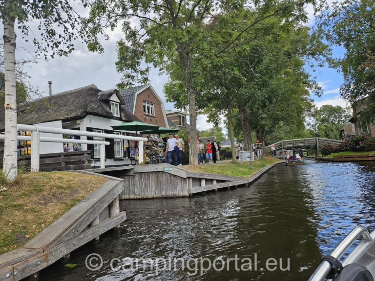 5d0498c2 20a0 4efa 9caf a0d35639428d 1 768x576