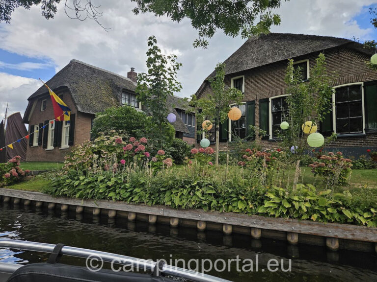 5f4a13e1 c72c 4dc7 80c2 31d9908b7c17 1 768x576