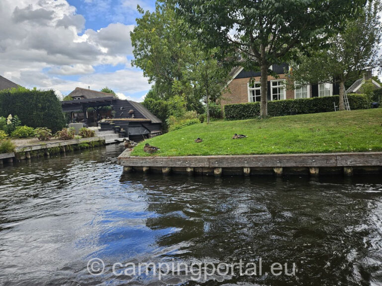 733a9d8d f8bd 4add ac8f f004f922486a 1 768x576