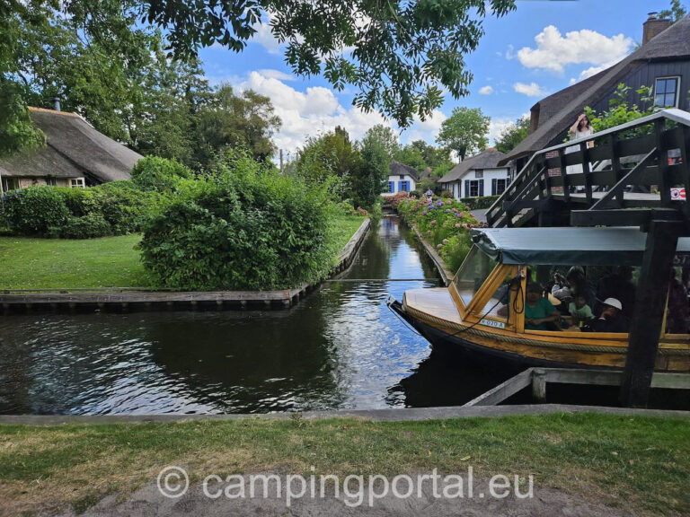 74c7a069 3fb9 483a 8eed 56cc9b0fbb47 1 768x576