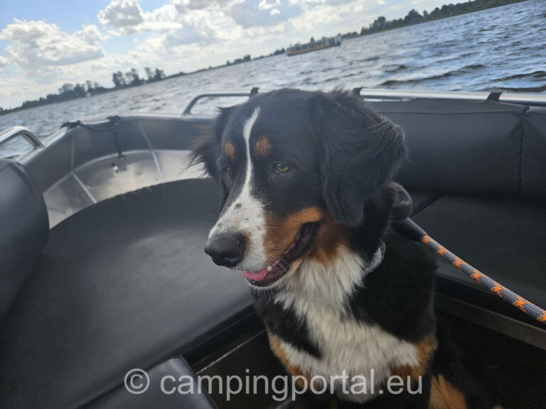 787cdf08 f91b 455d 809d a8cd9d62a9b2 1 768x576