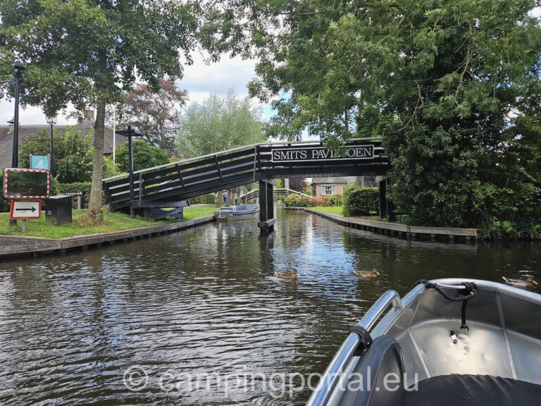 7e062e4a bf24 4f99 bb27 e1d3781db046 1 768x576