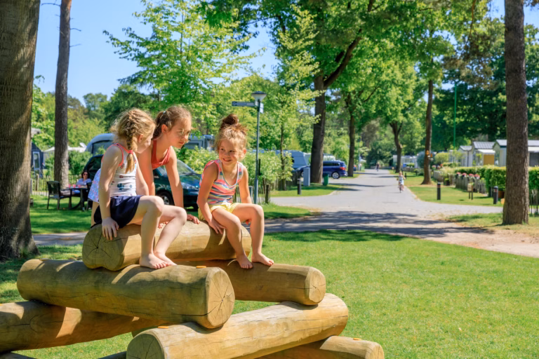 Ardoer Camping De Heldense Bossen Stellplatz mit spielenden Kindern im Gras  768x512