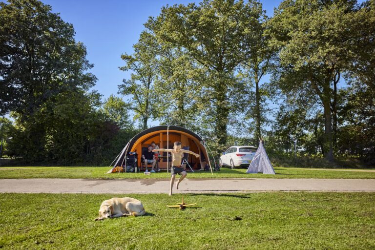 Camping De Leistert Standplatzwiese auf dem Campingplatz 37252aaa 12a8 47d2 aae7 70b640371d3e 768x512