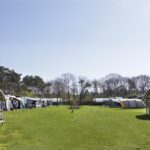 Camping De Paal Blick auf die Stellplaetze auf der Wiese b2e7ba0b 8ee8 44be 891b aca35a5b640d 150x150