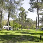 Camping De Paal Blick auf die Stellplatzwiese 50f9d96f 5f78 4a74 a23a edc5d8e79170 150x150
