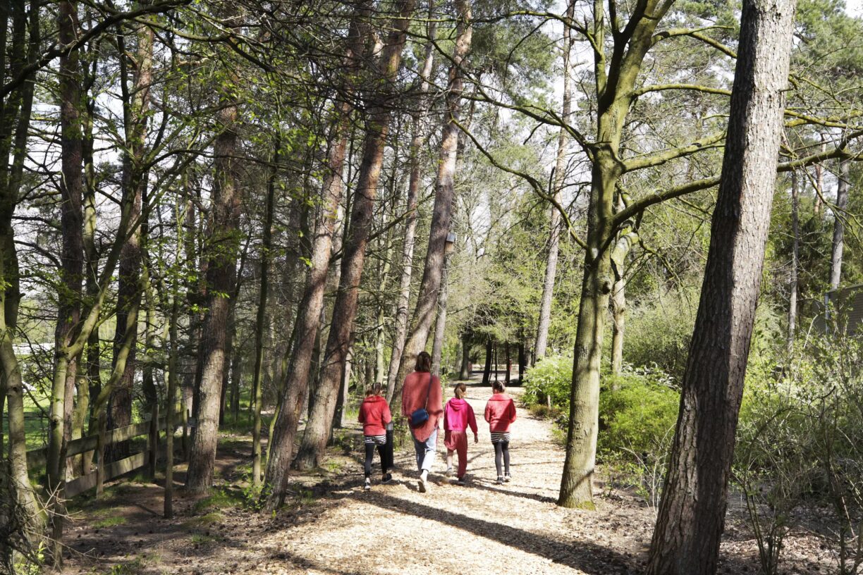 Camping De Paal Gaeste gehen im Wald spazieren 28850065 a165 4e09 be2a cd12fa107a91 1224x816