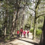 Camping De Paal Gaeste gehen im Wald spazieren 28850065 a165 4e09 be2a cd12fa107a91 150x150