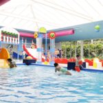 Camping De Paal Hallenbad mit Kinderbereich und Spielgeraeten 79a755cf c45d 4427 bb60 6e89e07b8dea 150x150