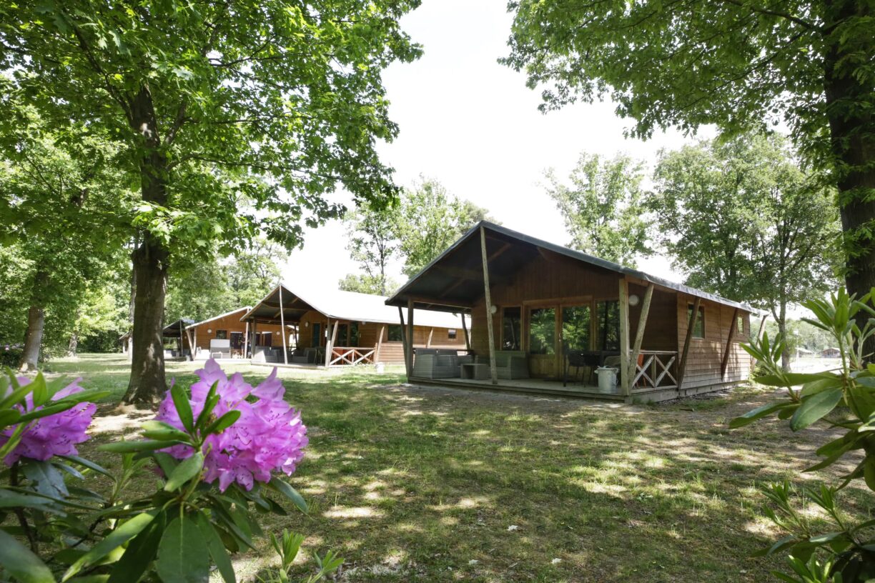 Camping De Paal Mobilheime mit Terrasse 5cd8a5e6 21a8 4cc4 a493 56f23d2ed2f7 1224x816