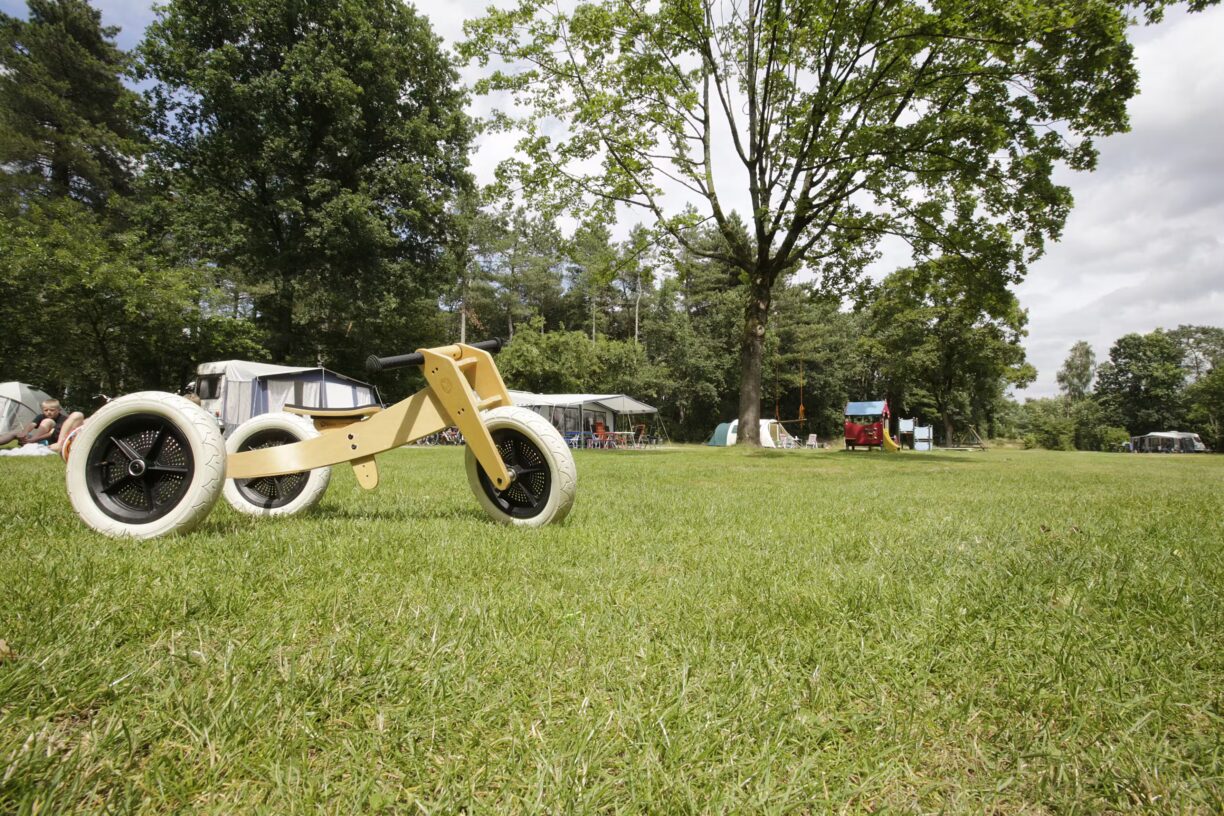 Camping De Paal Stellplatzwiese auf dem Campingplatz 65ab2f6a 391c 4a29 866a 9d67ddfd161b 1224x816