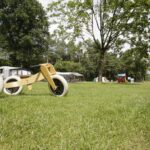 Camping De Paal Stellplatzwiese auf dem Campingplatz 65ab2f6a 391c 4a29 866a 9d67ddfd161b 150x150