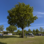 Vakantiepark De Kleine Belties Standplaetze auf dem Campingplatz ccc930e2 70d3 4aeb 9265 d9e4c432ae84 150x150