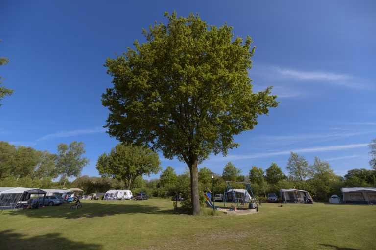 Vakantiepark De Kleine Belties Standplaetze auf dem Campingplatz ccc930e2 70d3 4aeb 9265 d9e4c432ae84 768x512