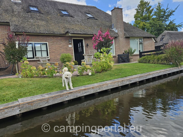 c243c8ae 6164 4063 b056 d1ebaae01019 1 768x576