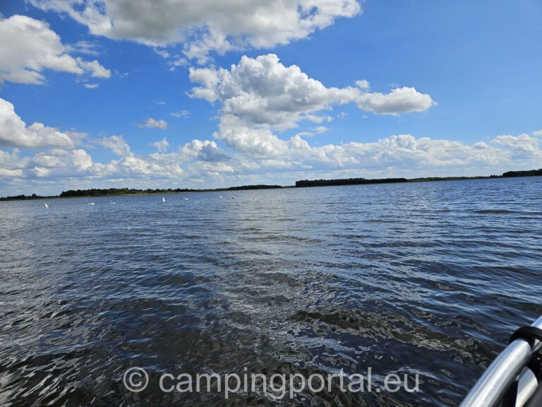 d2e1617a 753a 4d3c be3e c26e6537f7b5 1 768x576