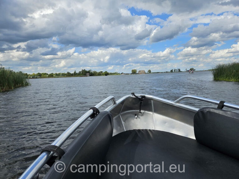 d940e42f 0a0a 4b86 938f eebc13ebce15 1 768x576