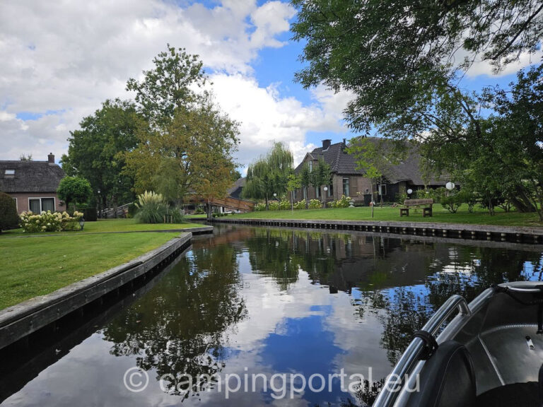 e78472a5 b5b4 4e77 bfa7 2d4eb816fef8 1 768x576