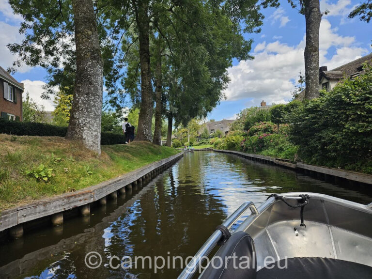 ea8e78ee 48d8 443a 918a 10fa1853df71 1 768x576