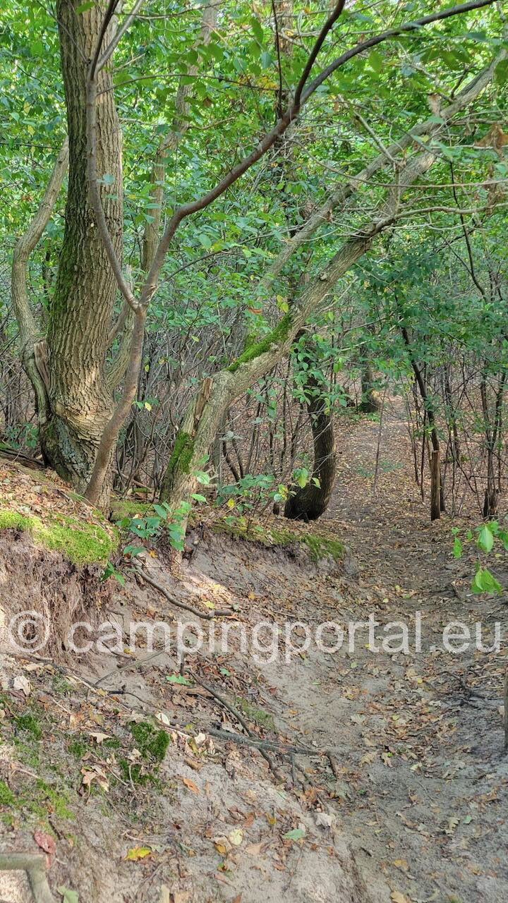 1096c9e8 dd36 461c 9a76 e1a40f0d0885