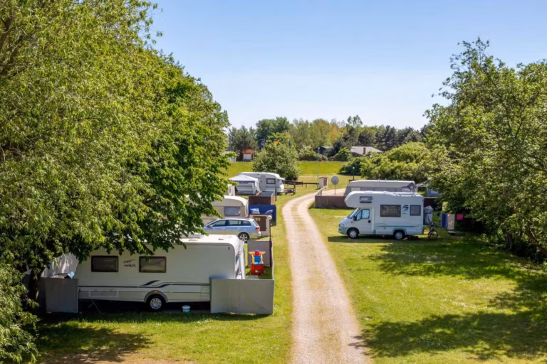 Camping Fluegger Strand Wohnmobil und Wohnwagenstellplaetze im Gruenen auf dem Campingplatz 768x512