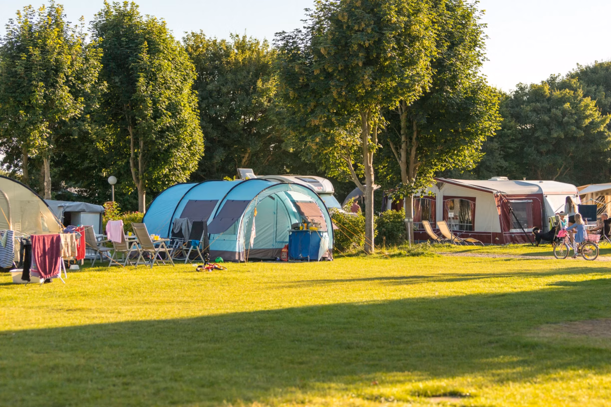 Camping Suedstrand Stellplaetze im Schatten unter Baeumen auf dem Campingplatz an der Ostsee bei Fehmarn 1224x816