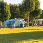 Camping Suedstrand Stellplaetze im Schatten unter Baeumen auf dem Campingplatz an der Ostsee bei Fehmarn 150x150
