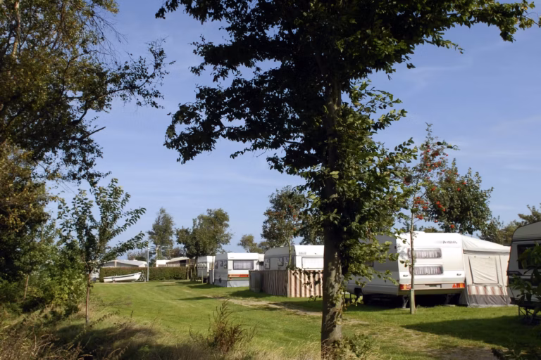 Campingplatz Heidkoppel Stellplatz vom Campingplatz im Gruenen 768x512