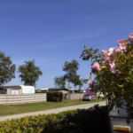 Campingplatz Heidkoppel Wohnwagen und Zeltstellplatz vom Campingplatz auf gruener Wiese zwischen Baeumen 150x150