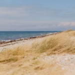 Strandcamping Blick auf die Kueste 3ac0dc5e 6a10 42ef bed2 8dd061550c09 150x150