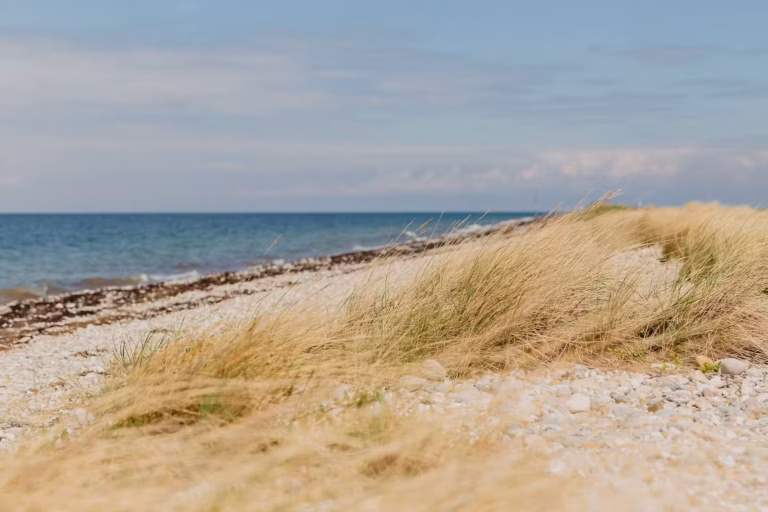 Strandcamping Blick auf die Kueste 3ac0dc5e 6a10 42ef bed2 8dd061550c09 768x512