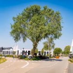 Vakantiepark Eiland van Maurik Einfahrt des Campingplatzes 642ef1ce a768 4c48 b780 3321b3250c3f 150x150