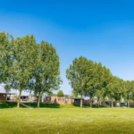 Vakantiepark Eiland van Maurik Mobilheime auf dem Campingplatz 9b280736 a578 4a58 9925 9a8888eb8670 150x150