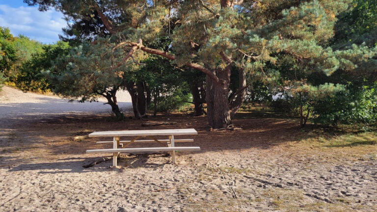 c402d2f6 5a21 4492 a5e9 46da879d8912 768x432